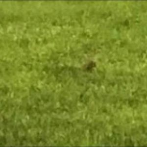 Meet your Posher, Aidan